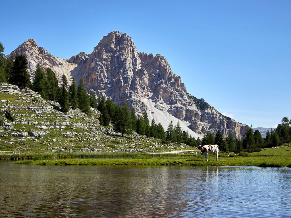 Schutzhütte Lavarella