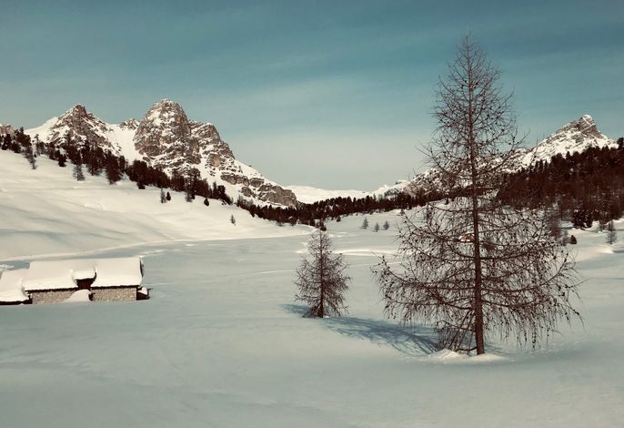 Bild 14