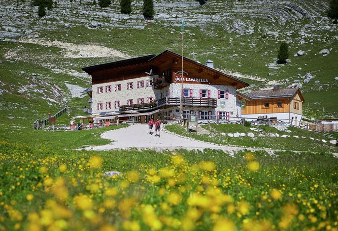 Hauptbild