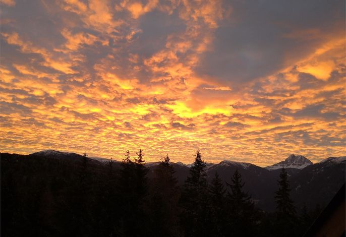 Bild 18