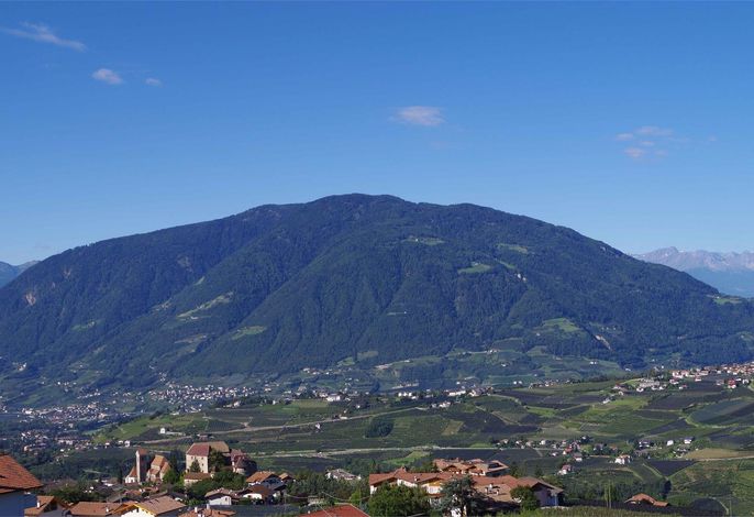 Bild 14