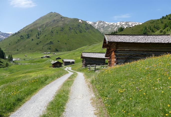 Bild 13