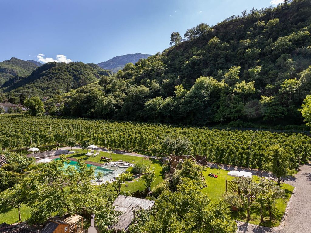 Blick zum Pool und Apfelplantage App. Merlot