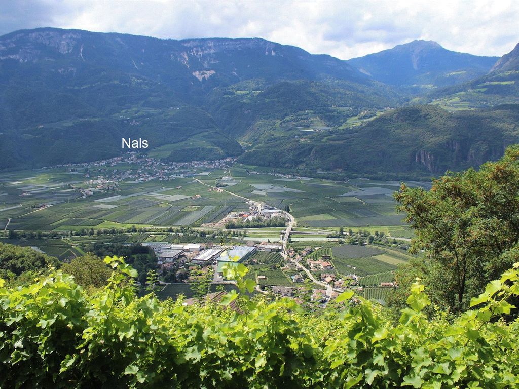 Nals