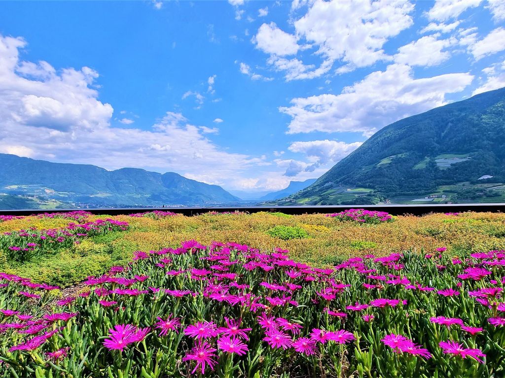 La Terrazza