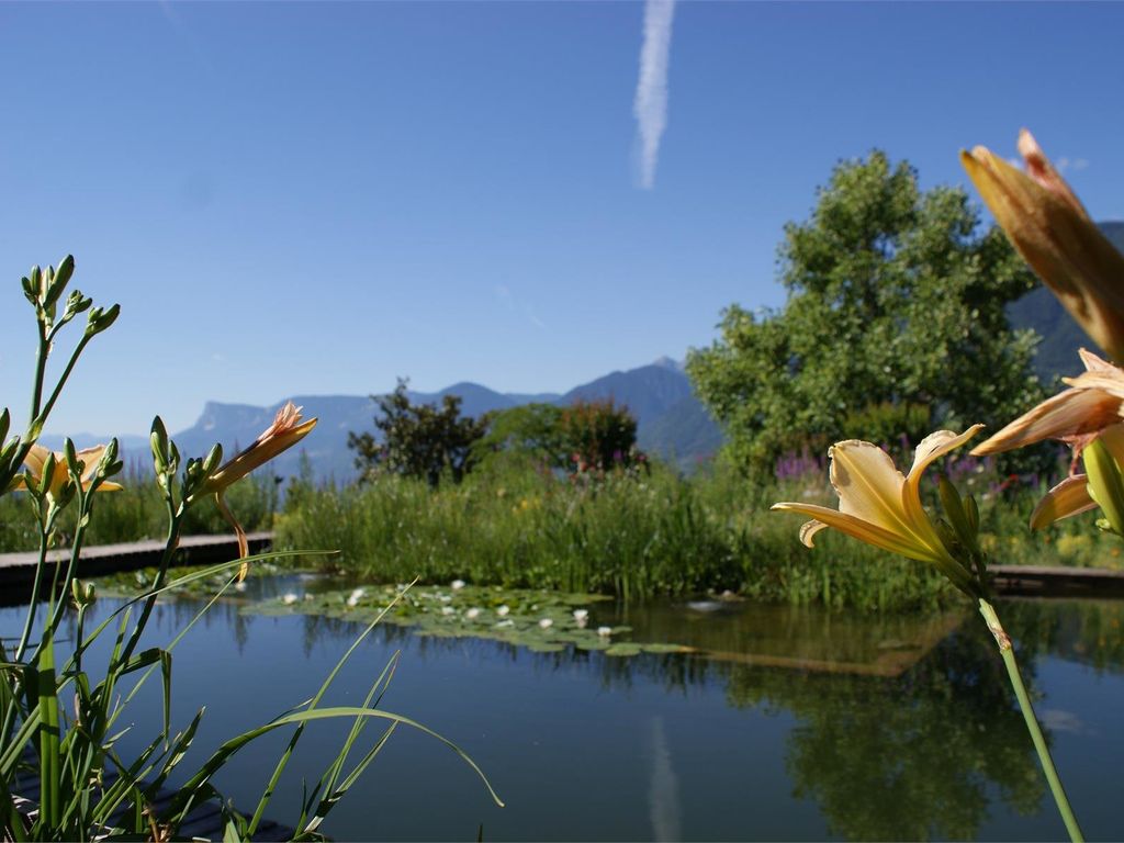 Marini's Giardino