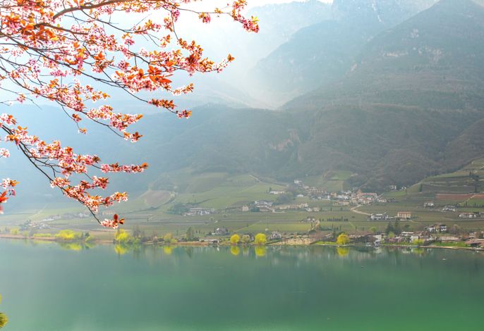 Bild 64