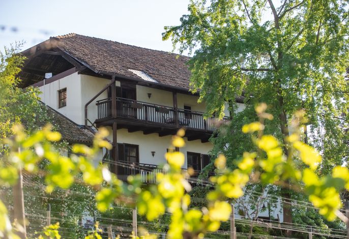 B&B Unterhabsbergerhof