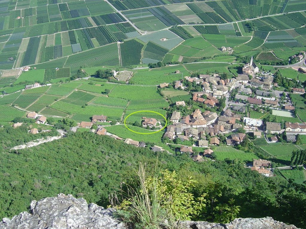 Der Lindenhof in Mitten der Weinreben von Kurtatsch