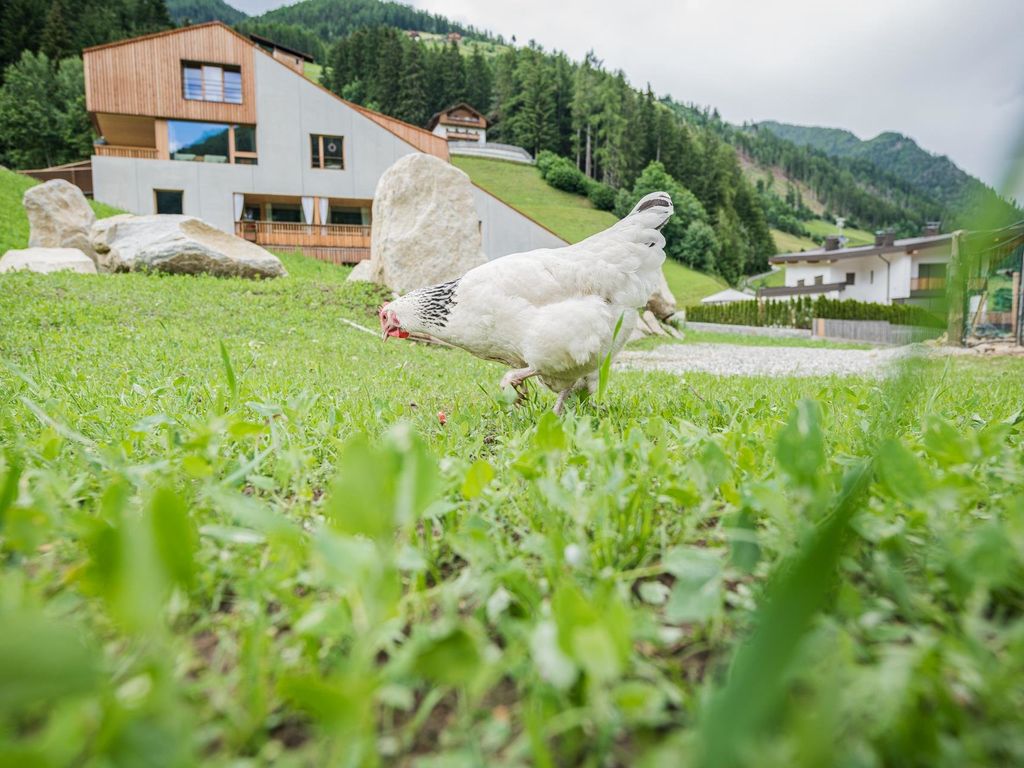 KOASA-HOF Ferienhaus Superior / Casa Vacanza - Maso in Affitto