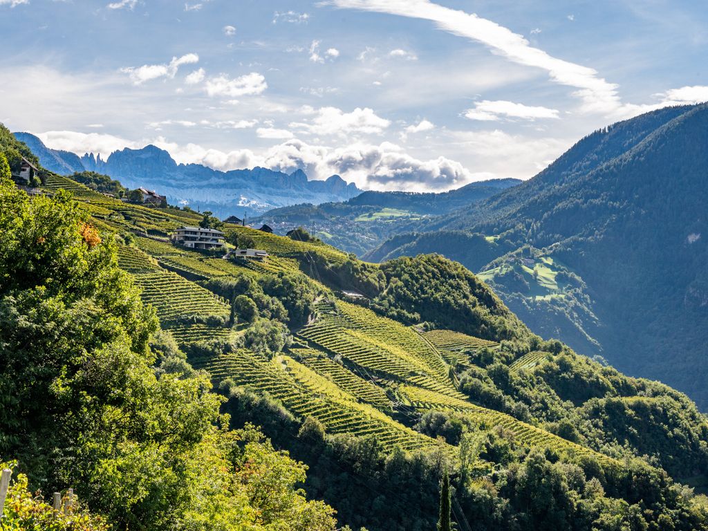 Weingut Schmid Oberrautner