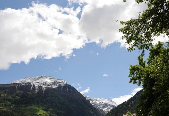 Bild 14