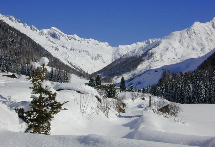 Bild 14