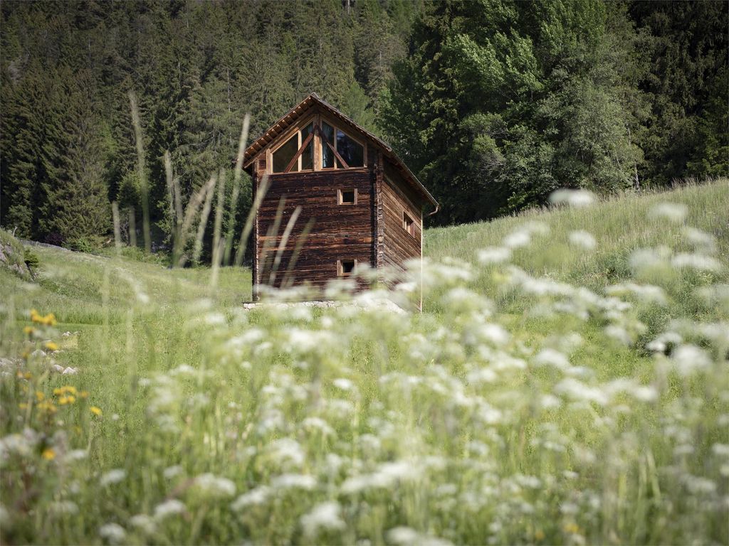 Burgfrieder Mühle