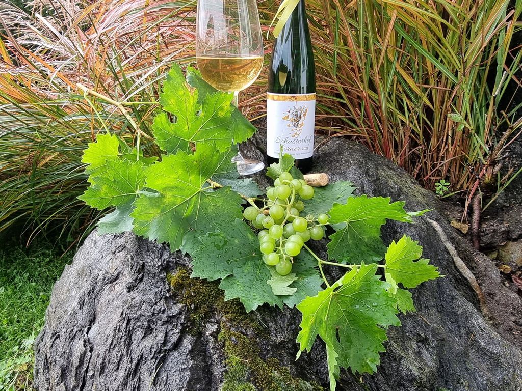 Unser Wein-Kerner
