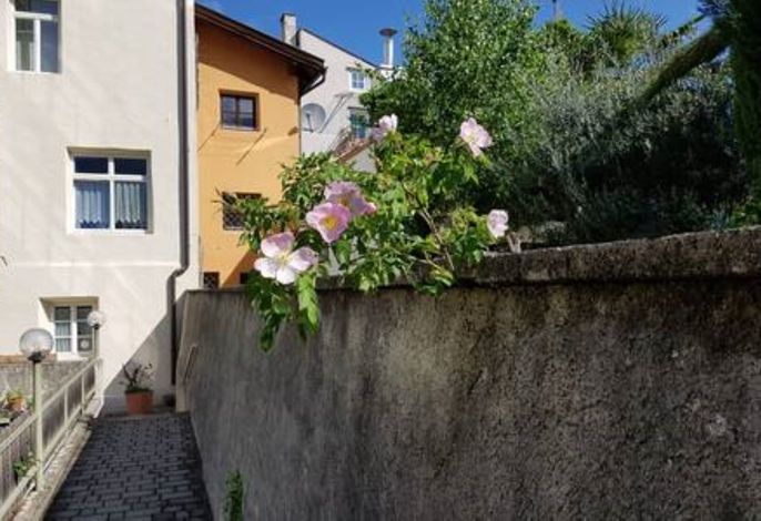 Bild 18