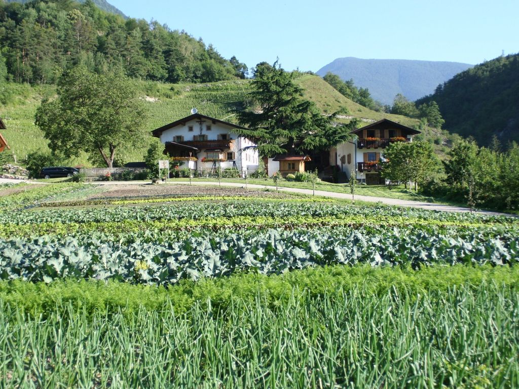 Punterhof mit Gemüsefeld