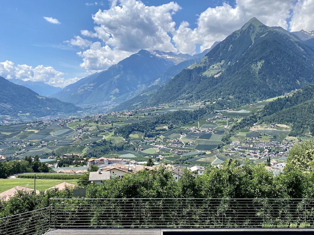 Dahoam Refugium Ausblick Naturpool