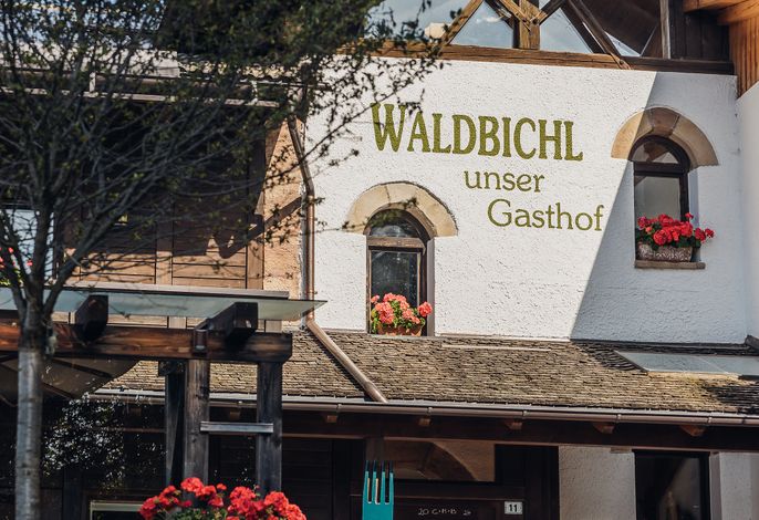 Bild 12
