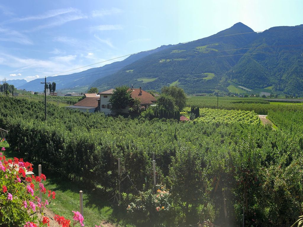 Gala - Ausblick