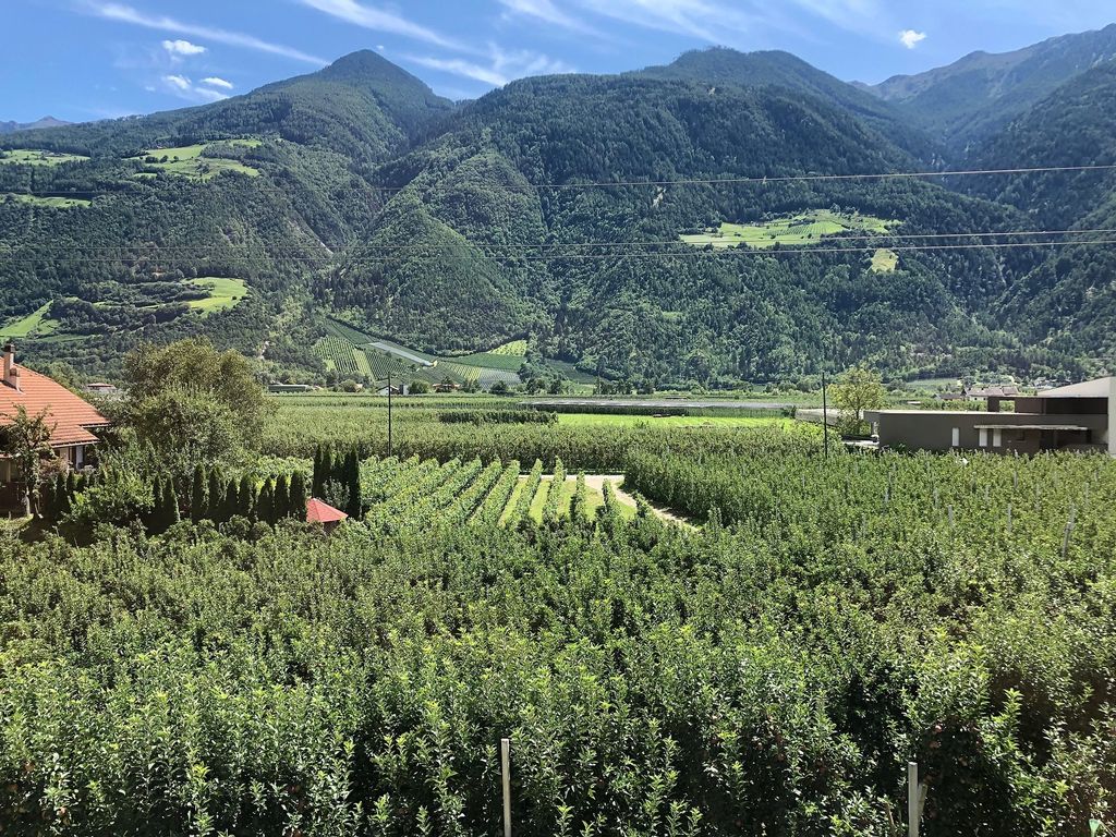 Golden - Ausblick Balkon