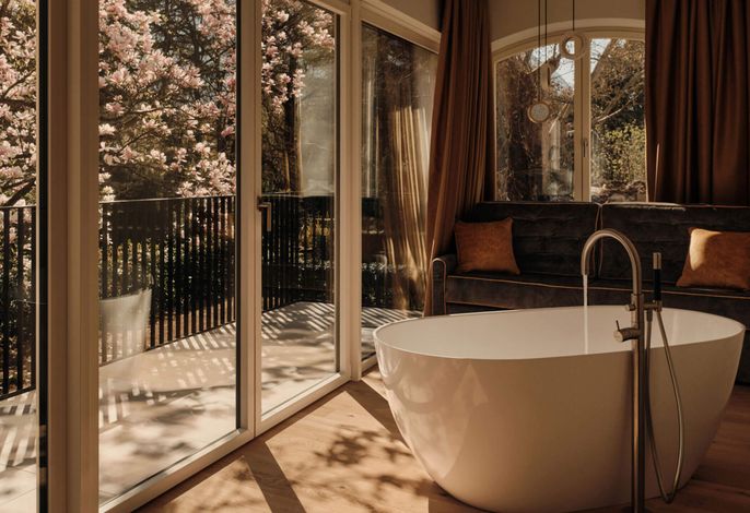Luxury Suite
