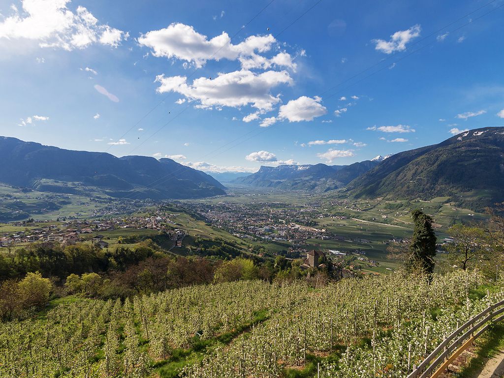 Das Panorama im Frühling mit Apfelblüte