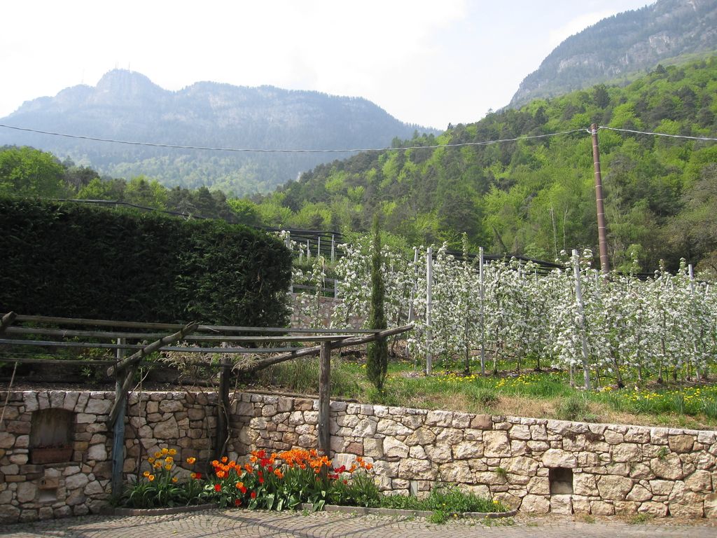Ausblick Innenhof