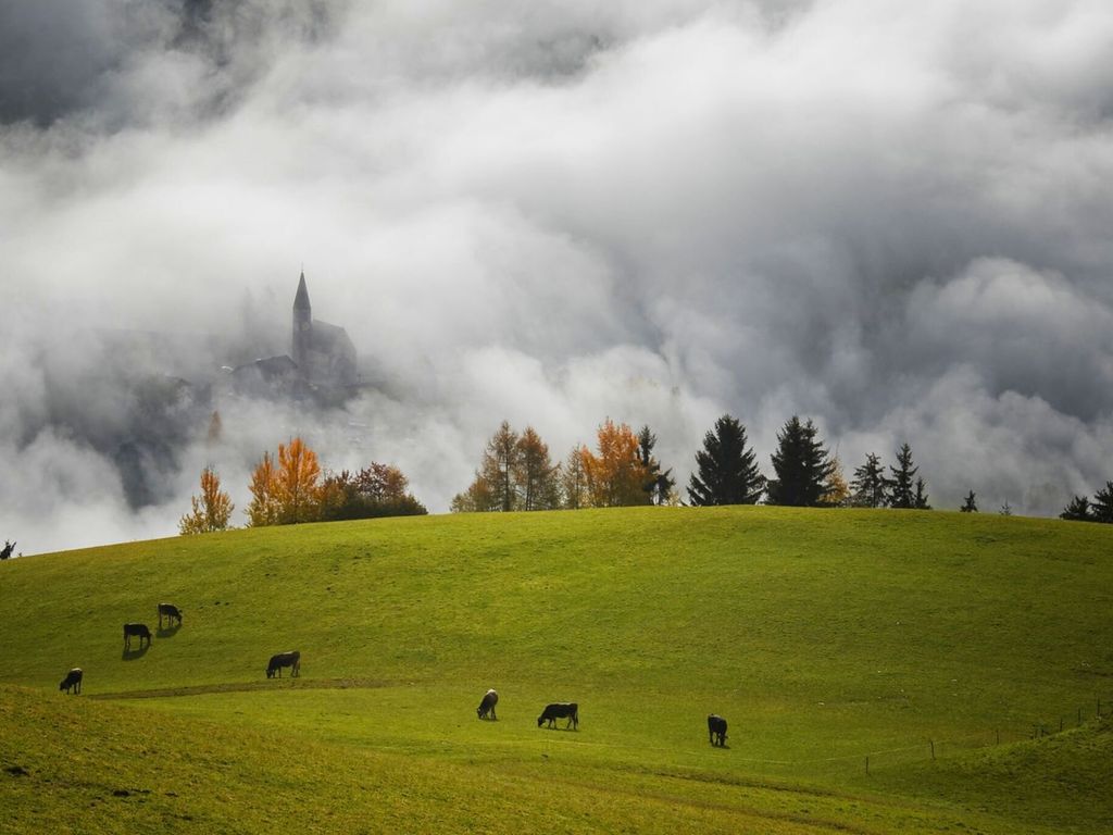 Nebel