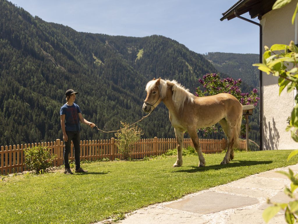 Chalets Tschogerhof