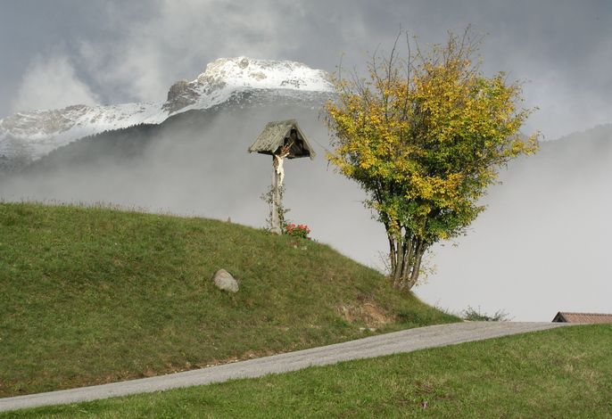 Bild 41