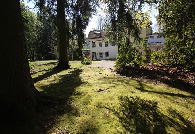 Bild 25