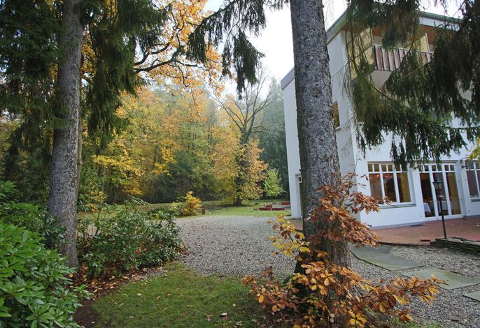 Bild 38