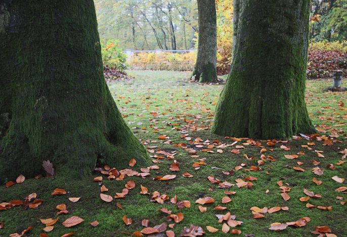 Bild 58