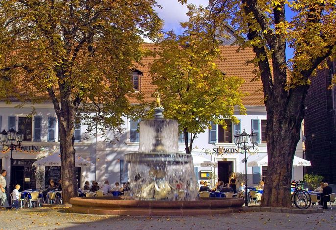 Bild 21