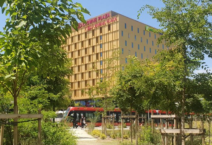 Bild 15