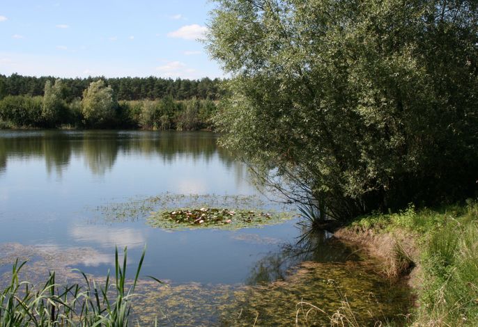 Bild 18