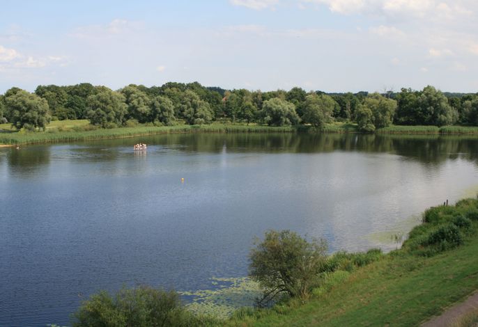 Bild 15
