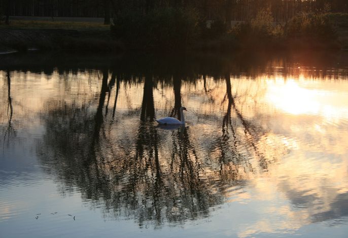 Bild 17