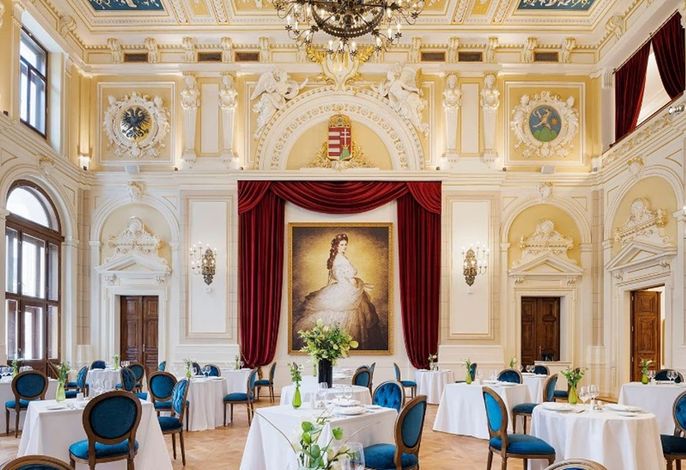 Bild 51