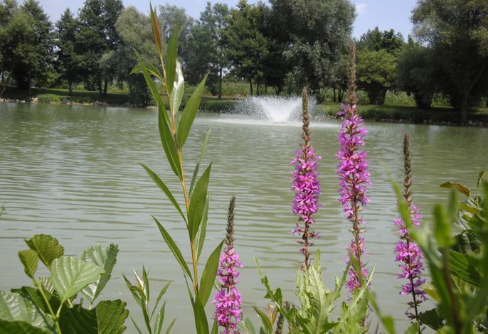 Bild 14