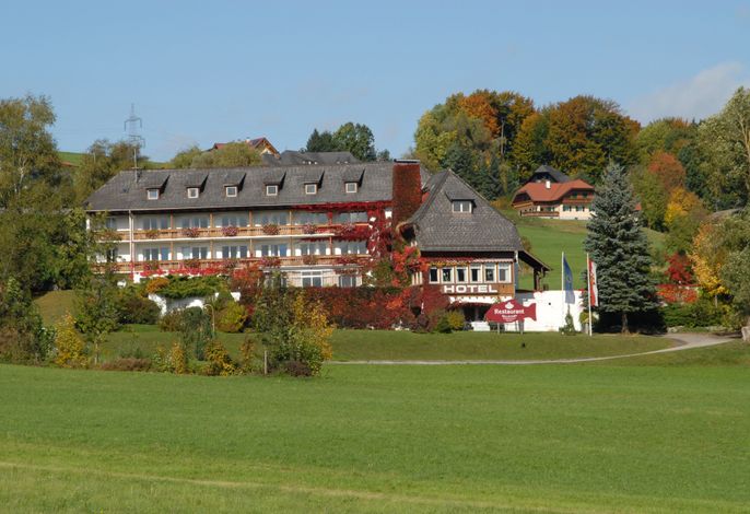 Bild 12