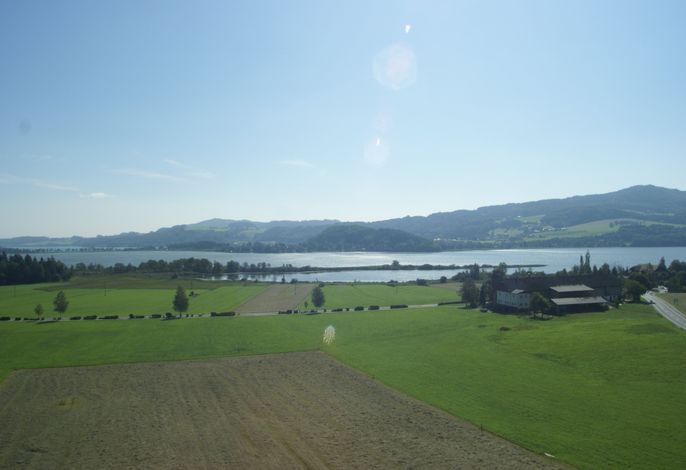 Bild 19