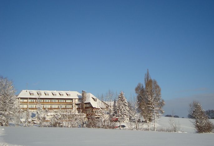 Bild 17