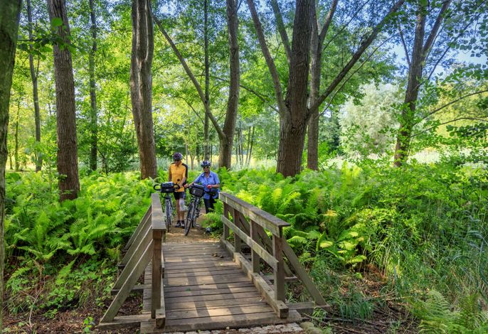 Parkpension Spreewald