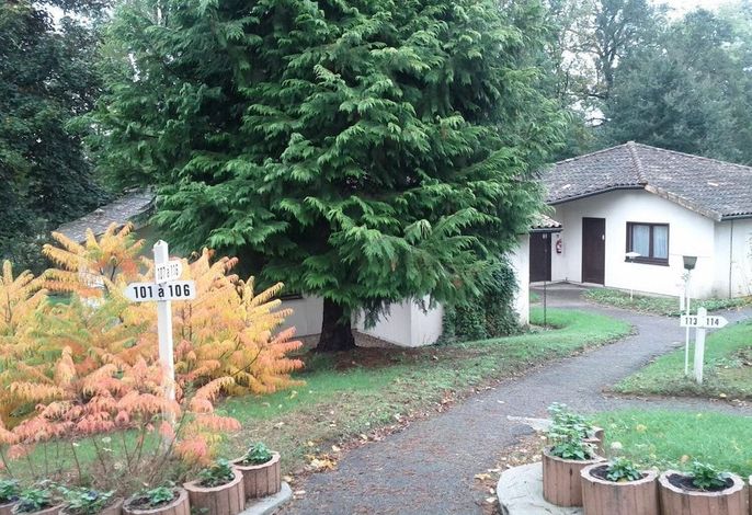 Bild 39