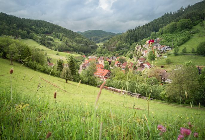 Bild 13