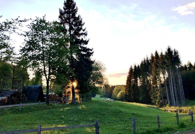 Bild 15