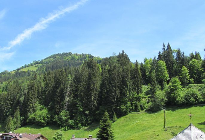 Bild 12