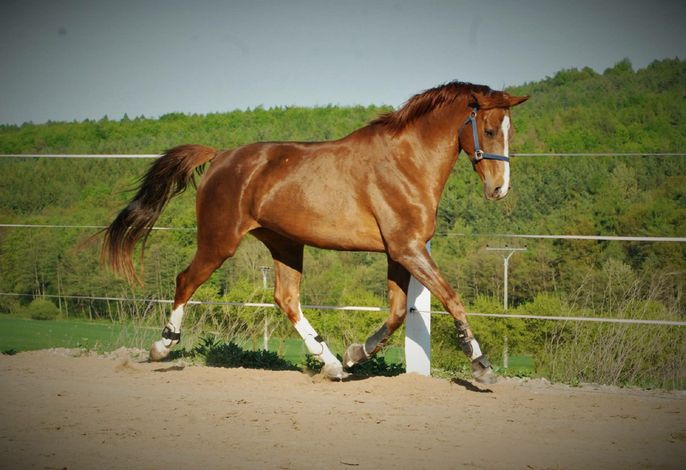 Bild 8